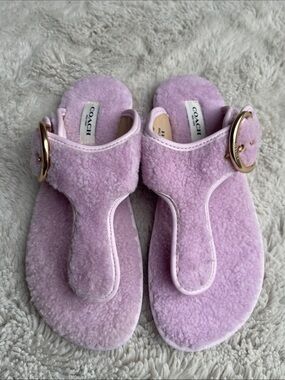 Coach Hollie Shearling Thong Sandals with Gold Buckle in Pale Pink Size 7.5